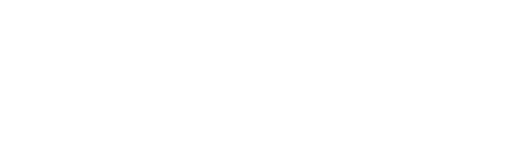 fisiovic blanco